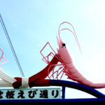 由比桜えびまつりに行ってきました